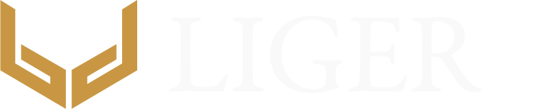 LigerGlobal-Logo