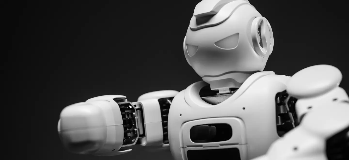 Liger Global - Technology 12