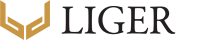 Liger Global-Logo